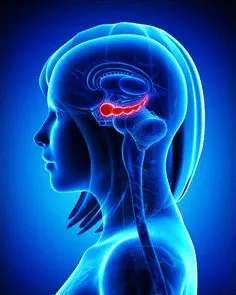 Treatment options for alcohol and benzodiazepine addiction