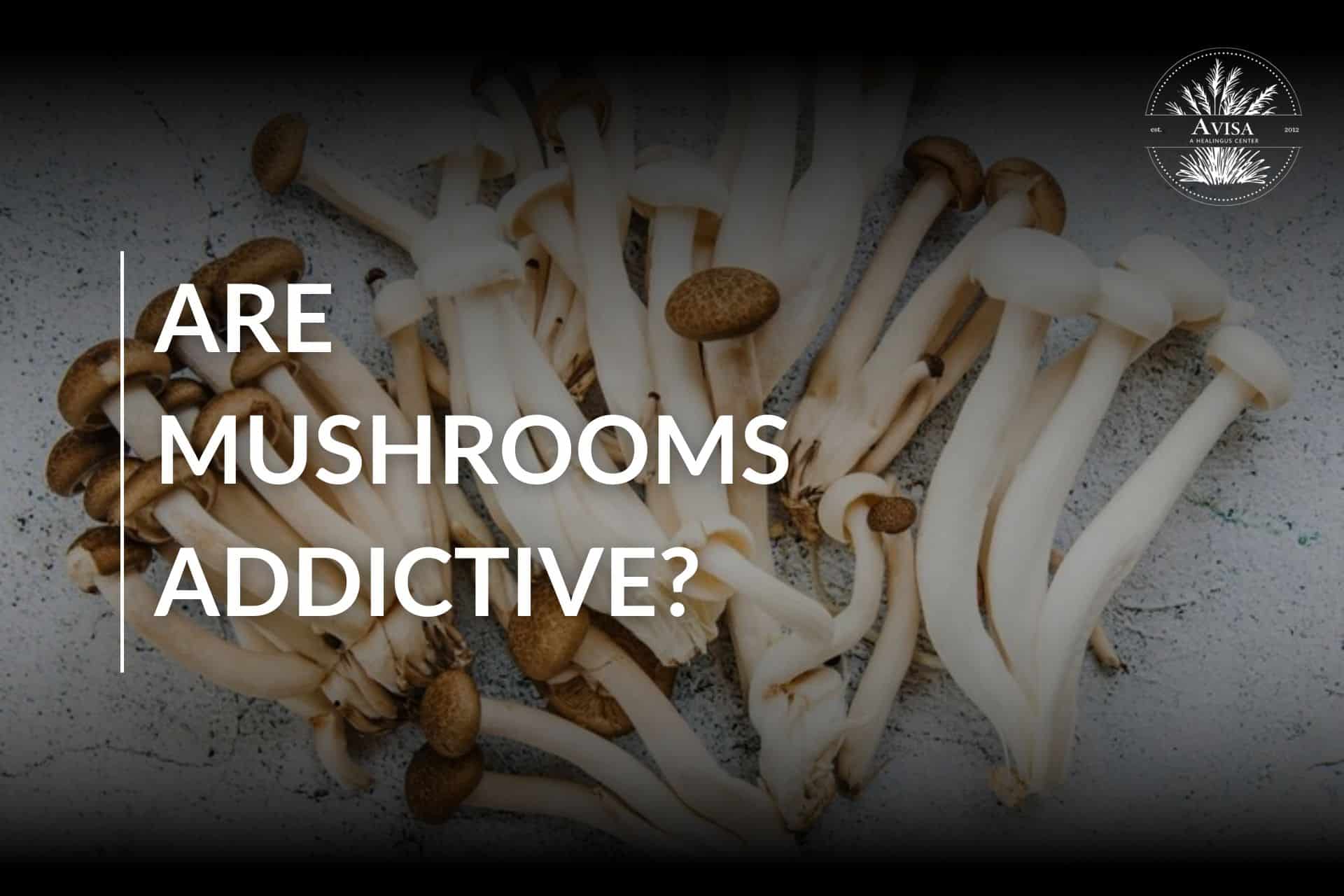 are-mushrooms-addictive