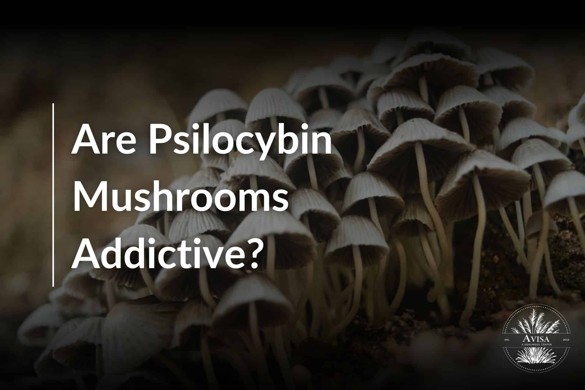 are-psilocybin-mushrooms-addictive