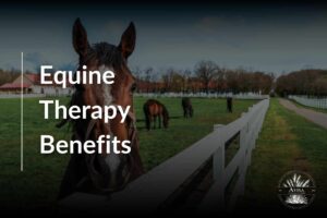 How Equine Therapy Provides Emotional and Physical Benefits