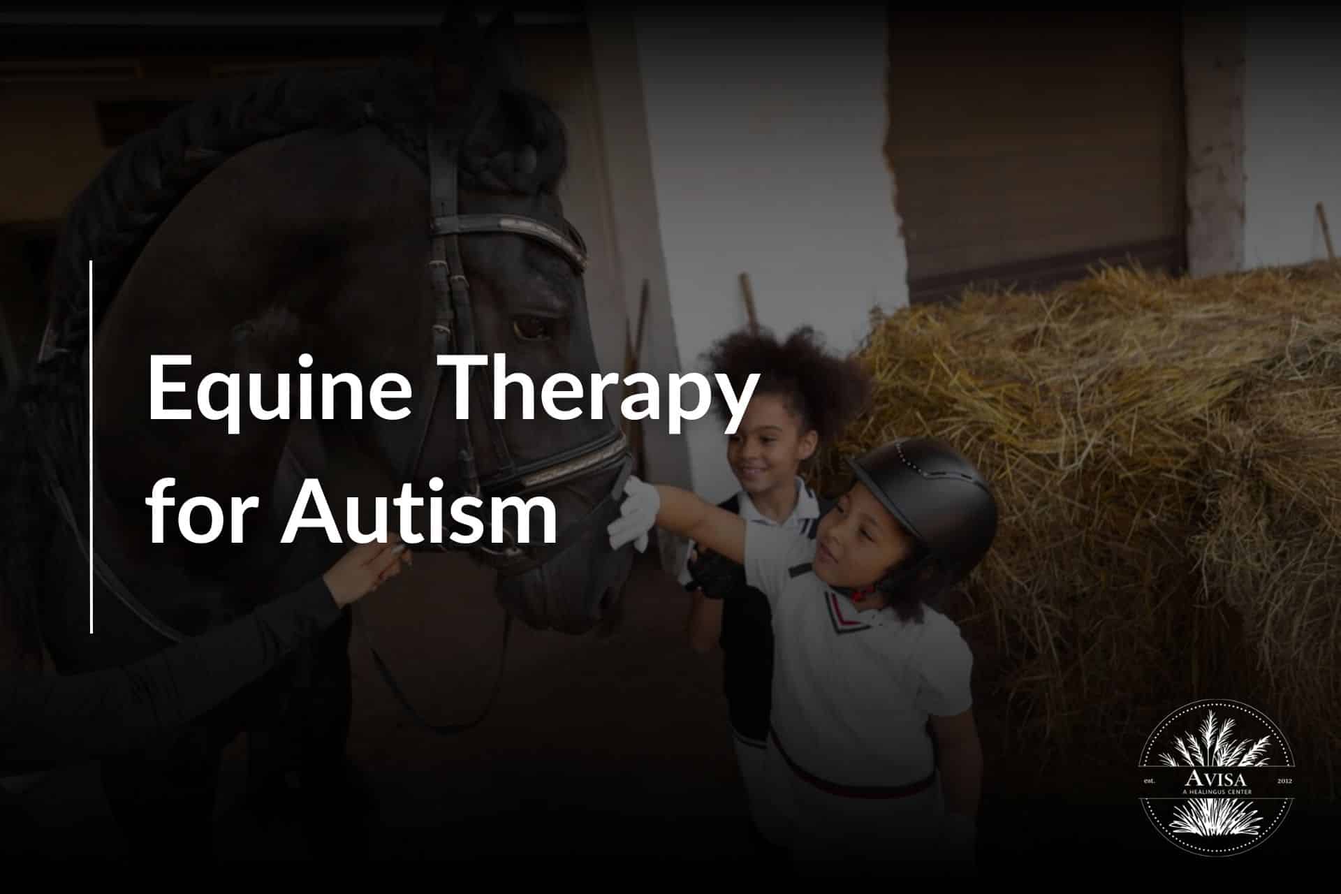 equine-massage-for-autism