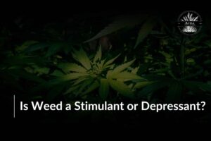 Is Weed a Stimulant or Depressant? Discover the Truth