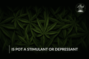 Is Pot a Stimulant or Depressant? Unraveling the Effects of Marijuana
