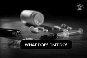 What Does DMT Do? Exploring Its Effects on the Brain and Body